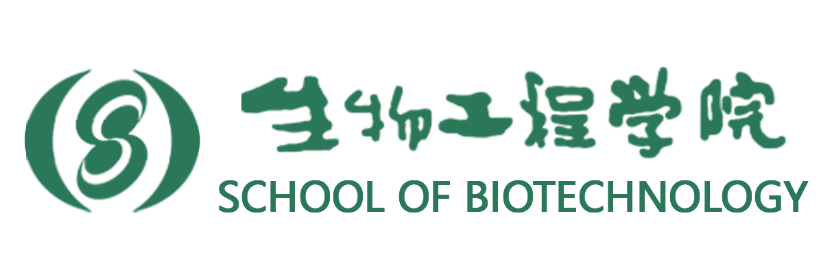 2026年国际足联世界杯